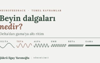 Beyin Dalgaları: Delta, Teta, Alfa, SMR, Beta ve Gama Nedir? kapak görseli