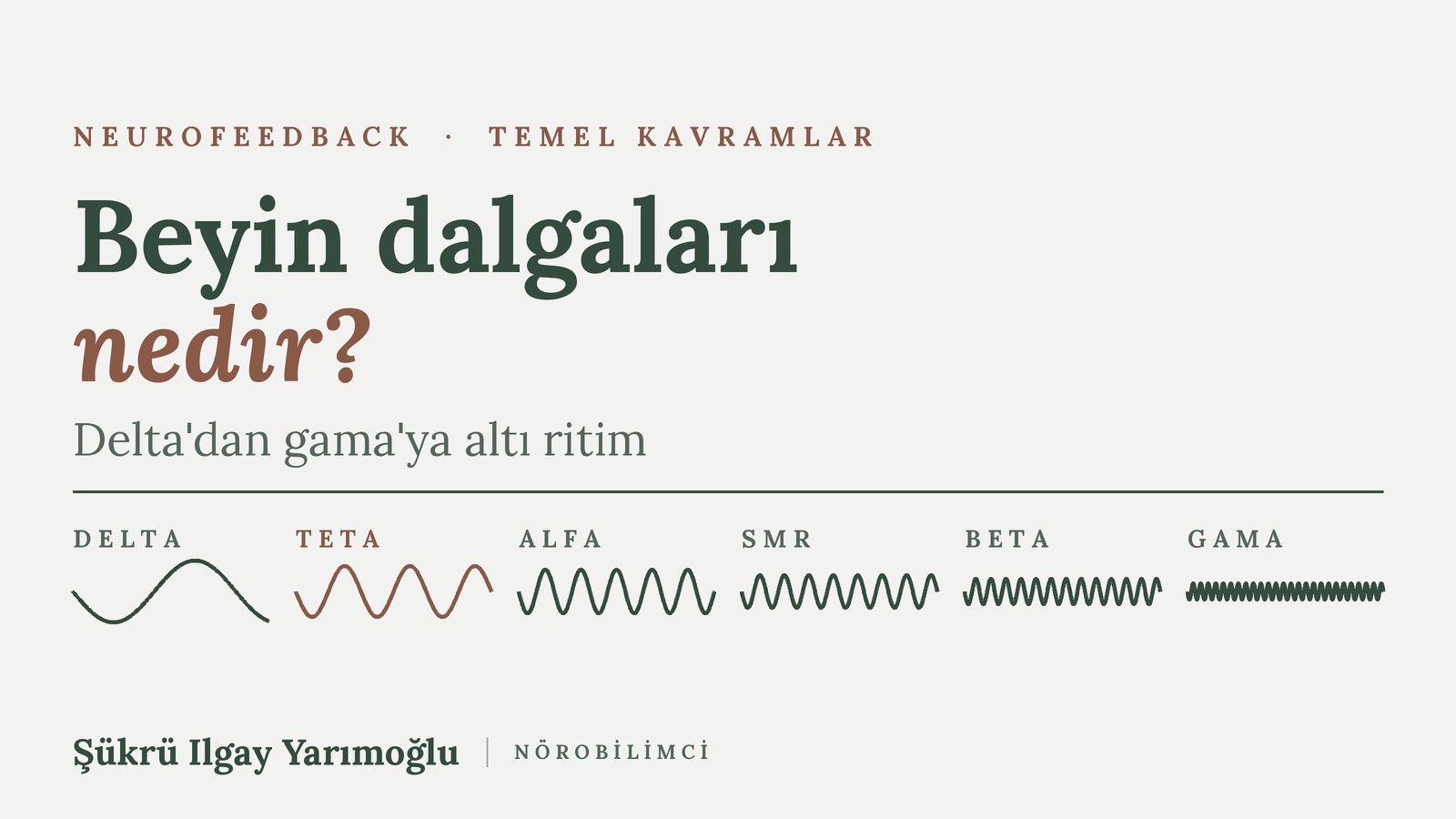 Beyin Dalgaları: Delta, Teta, Alfa, SMR, Beta ve Gama Nedir? kapak görseli