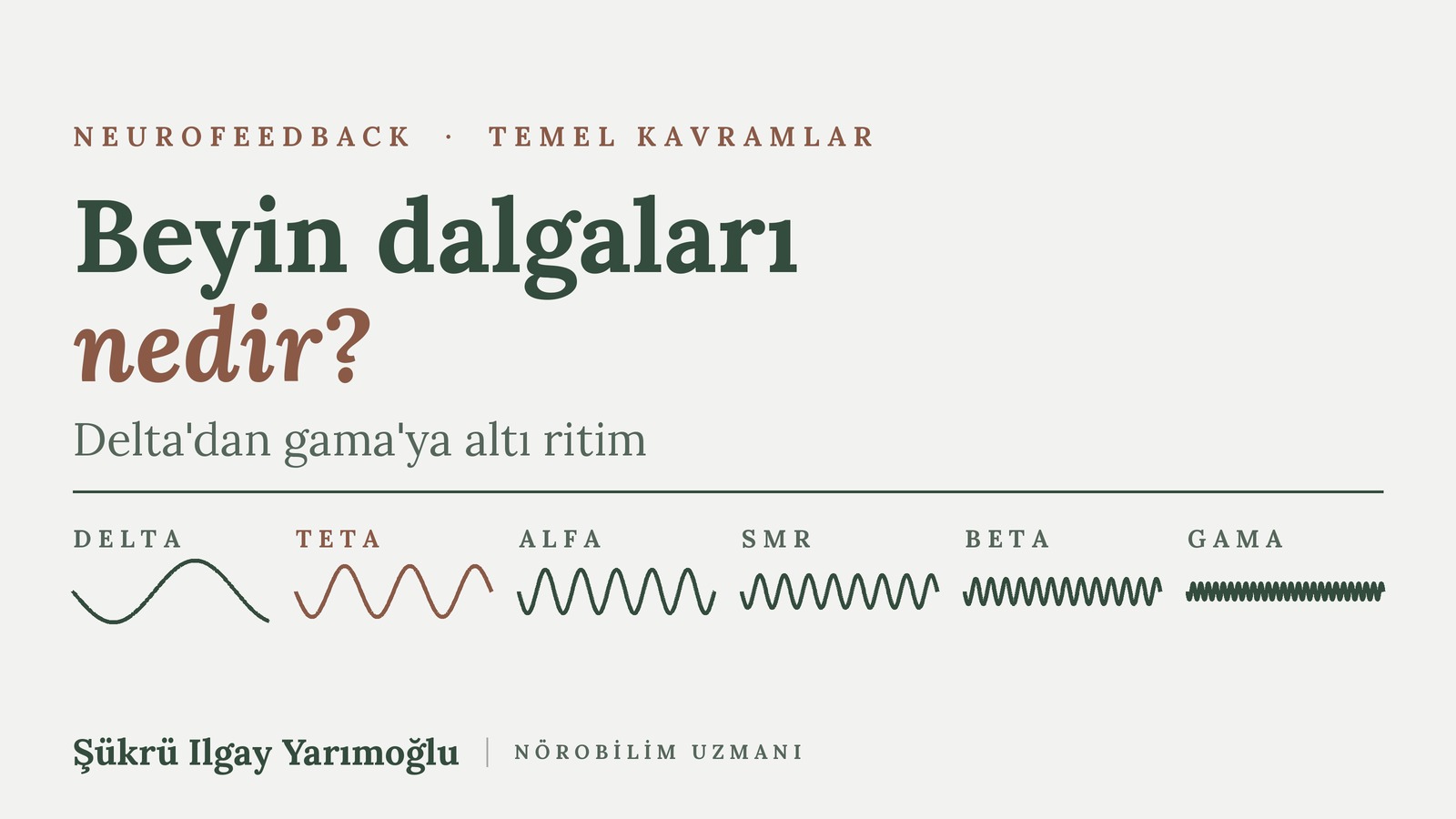 Beyin Dalgaları: Delta, Teta, Alfa, SMR, Beta ve Gama Nedir? kapak görseli