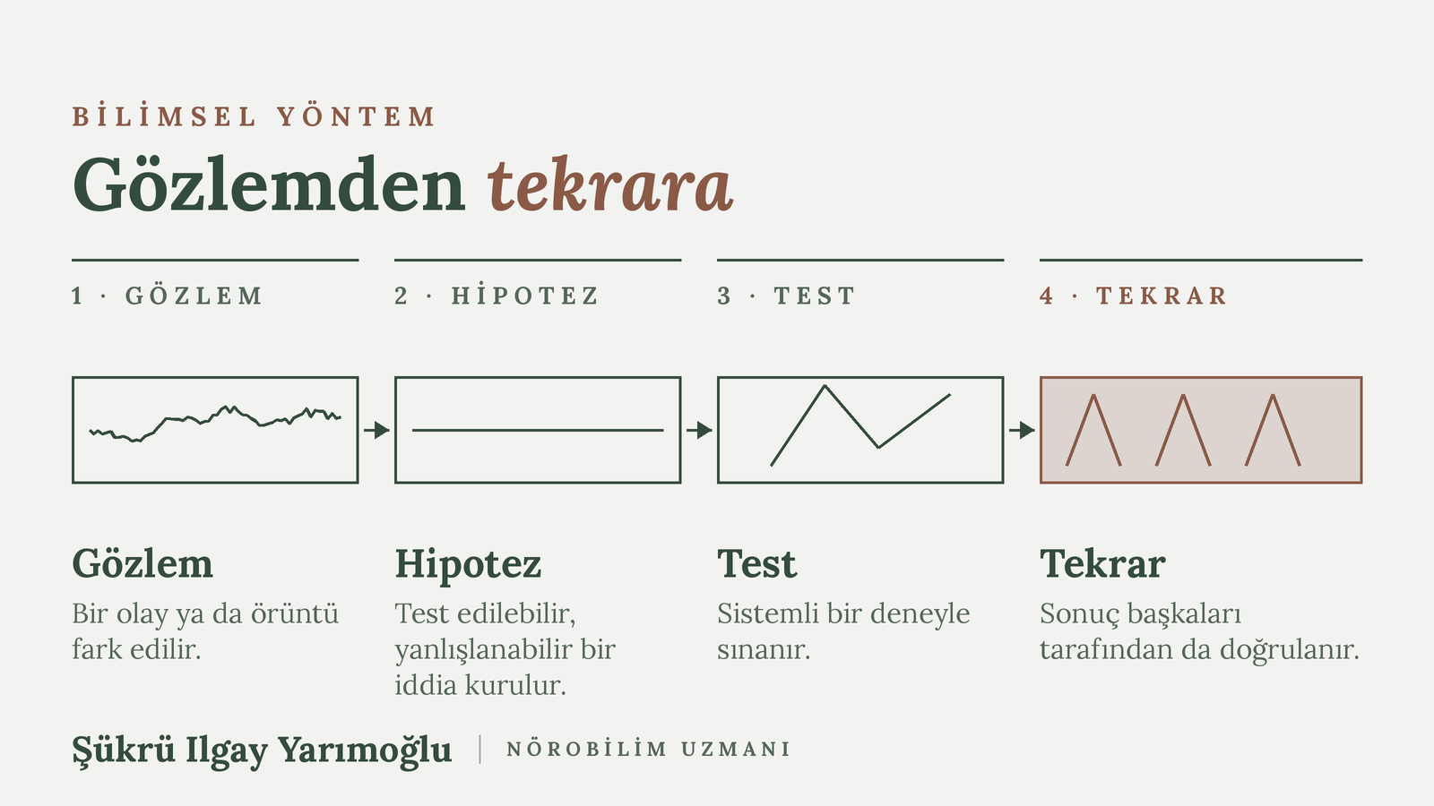 Bilimsel yöntem: gözlem, hipotez, test ve tekrar adımları