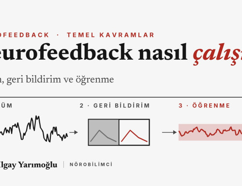 Neurofeedback Nasıl Çalışır? Ölçüm, Geri Bildirim ve Öğrenme