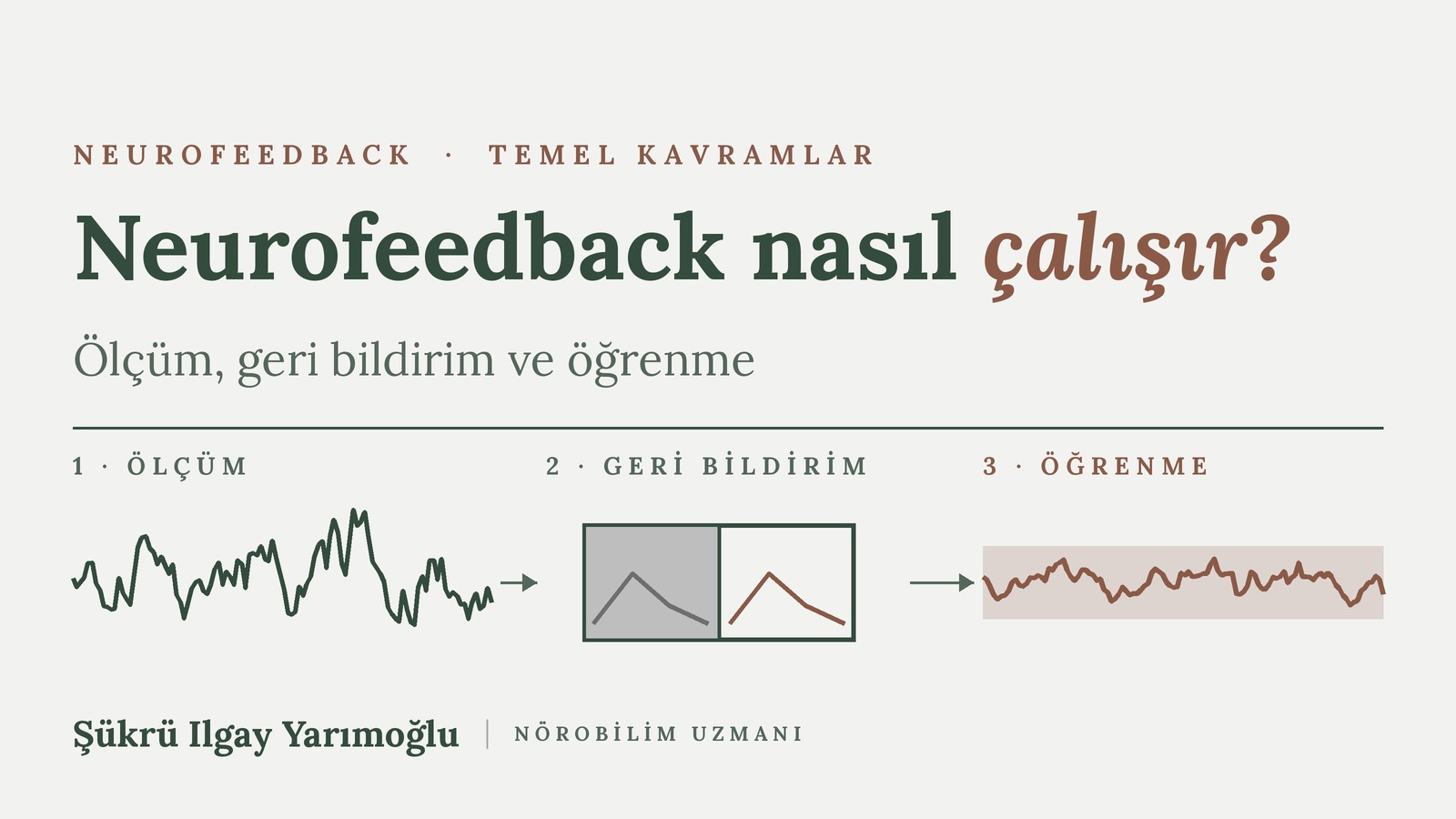 Neurofeedback Nasıl Çalışır? Ölçüm, Geri Bildirim ve Öğrenme kapak görseli