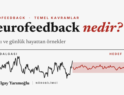 Neurofeedback Nedir? Tanımı ve Günlük Hayattan Örnekler