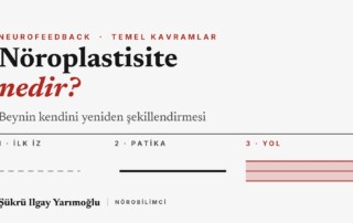 Nöroplastisite nedir? LTP ve neurofeedback ilişkisi kapak görseli