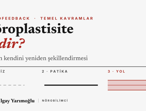 Nöroplastisite Nedir? LTP ve Neurofeedback İlişkisi