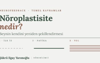 Nöroplastisite Nedir? LTP ve Neurofeedback İlişkisi kapak görseli