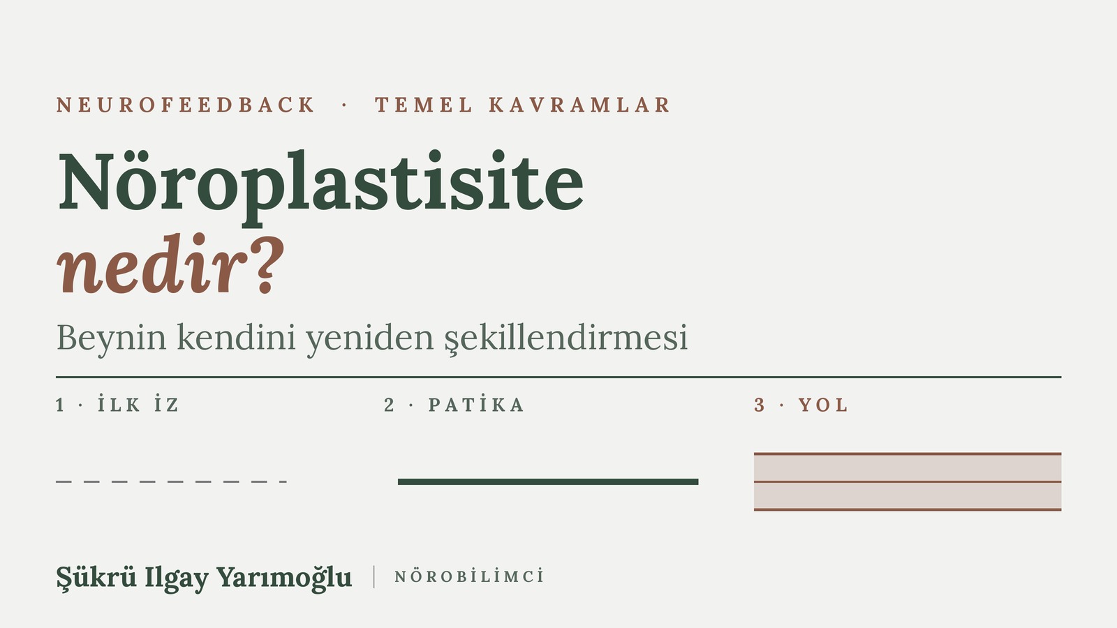 Nöroplastisite Nedir? LTP ve Neurofeedback İlişkisi kapak görseli