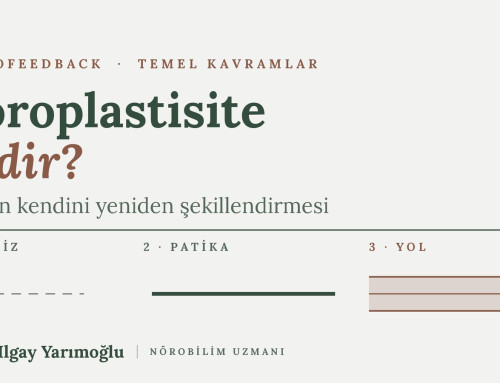 Nöroplastisite Nedir? LTP ve Neurofeedback İlişkisi