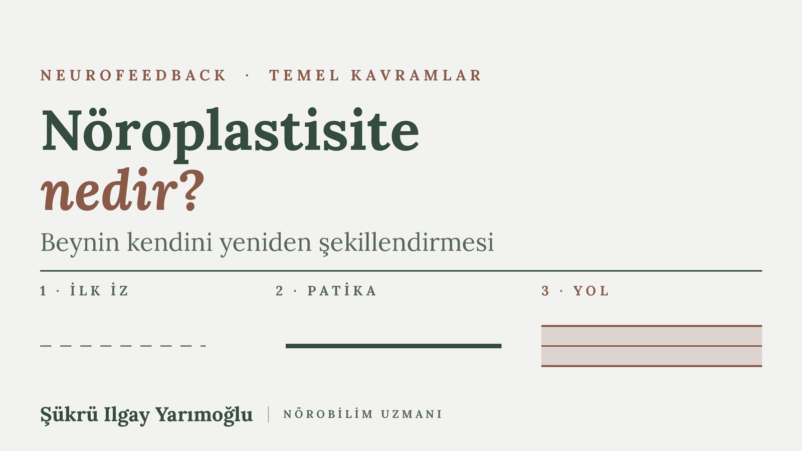 Nöroplastisite Nedir? LTP ve Neurofeedback İlişkisi kapak görseli
